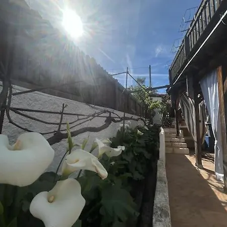 Giardino Zen A Due Passi Dal Mar Διαμέρισμα Cannigione